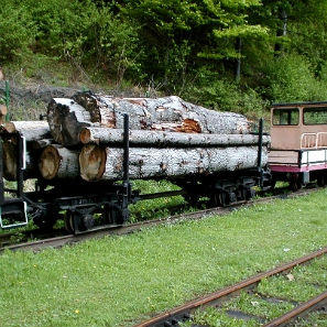 kolejka2003d Bieszczadzka Kolejka Leśna, tabor, Majdan 2003 (foto: P. Szechyński)