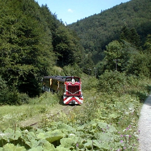 kolejka2003g Bieszczadzka Kolejka Leśna, Solinka, 2003 (foto: P. Szechyński)