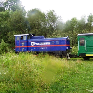 kolejka2006b Bieszczadzka Kolejka Leśna, Wola Michowa, kolejka w deszczu, 2006 (foto: P. Szechyński)