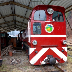 kolejka2011d Bieszczadzka Kolejka Leśna, lokomotywka spalinowa, Majdan 2011 (foto: P. Szechyński)