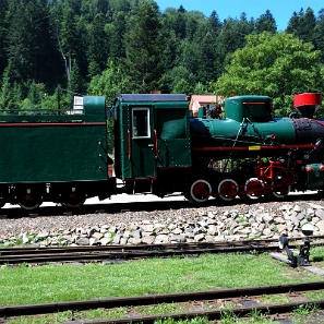 kolejka2013e Bieszczadzka Kolejka Leśna, parowóz Las, Majdan 2013 (foto: P. Szechyński)