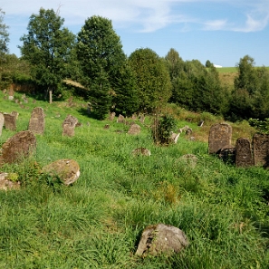 DSC_0120a Lutowiska, cmentarz żydowski - kirkut, 2017 (foto: P. Szechyński)