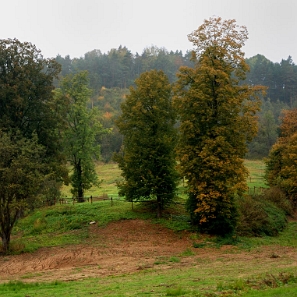 zernica2014a Żernica Niżna, cmentarz i miejsce po cerkwi, 2014 (foto: P. Szechyński)