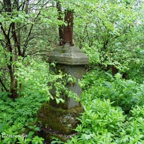 19065206d Wola Michowa, cmentarz, 2006 (foto: P. Szechyński)