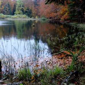 jdusz2013g Jeziorka Duszatyńskie, jesień (foto: P. Szechyński)