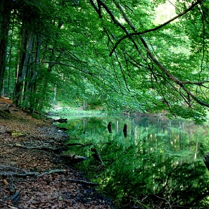 jdusz2019e Jeziorka Duszatyńskie, lato (foto: P. Szechyński)