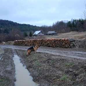 duszatyn2009g Duszatyn, 2009 (foto: P. Szechyński)