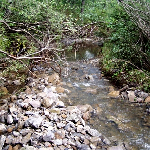 kalnica2004b Kalnica, potok Kalniczka powyżej wsi w stronę Turzańska, 2004 (foto: P. Szechyński)