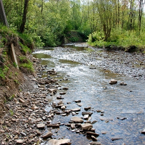 kalnica2009d Kalnica, potok Kalniczka w okolicy cmentarza, lato 2009 (foto: P. Szechyński)