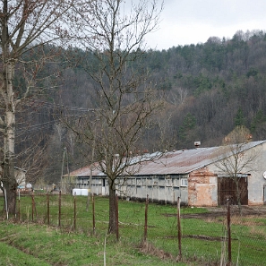 kalnica2010g Kalnica, 2010 (foto: P. Szechyński)