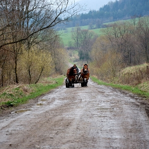 kalnica2010l Kalnica, droga od strony Sukowatego, 2010 (foto: P. Szechyński)