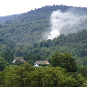 zatwarnica2005a Zatwarnica / Sękowiec, 2005 (foto: P. Szechyński)