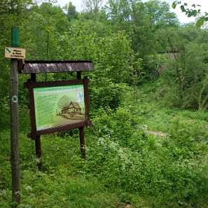 zatwarnica2020a Zatwarnica, miejsce po młynie, 2020 (foto: P. Szechyński)