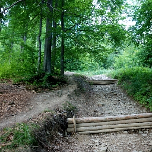 riaba2012a Wetlina, początek szlaku na Riabą Skałę (foto: P. Szechyński)