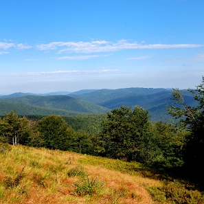 riaba2012d Paportna, 1198 m n.p.m. widok w kierunku północnym (foto: P. Szechyński)