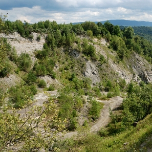 koziniec2010e Kamieniołom na Kozińcu (foto: P. Szechyński)